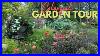 A_Colorful_Tour_Of_The_Patio_Garden_01_qx