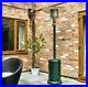 Brand_New_Boxed_Alfresco_Living_outdoor_garden_gas_patio_heater_14kw_FREE_DEL_01_ykyb