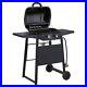 Expert_Grill_2_Burner_Stainless_Steel_Gas_BBQ_Outdoor_Garden_Patio_Portable_01_nxy