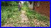 Homeowner_Didn_T_Recognize_His_House_After_This_Lawn_Makeover_Crazy_Overgrown_Tall_Grass_Cleanup_01_wdih
