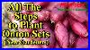 How_To_Easily_Plant_Onion_Sets_For_New_Gardeners_Plant_Onions_In_March_U0026_April_01_jeqq