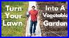 How_To_Turn_Your_Lawn_Into_A_Vegetable_Garden_01_fxvh