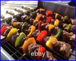 Spinarri 543 -Motorized kebob skewers for your existing gas / charcoal BBQ grill